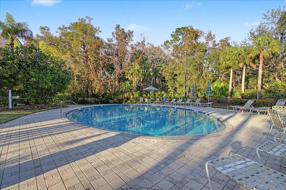 Listing photo id 72 for 16204 Hampton Trace Court