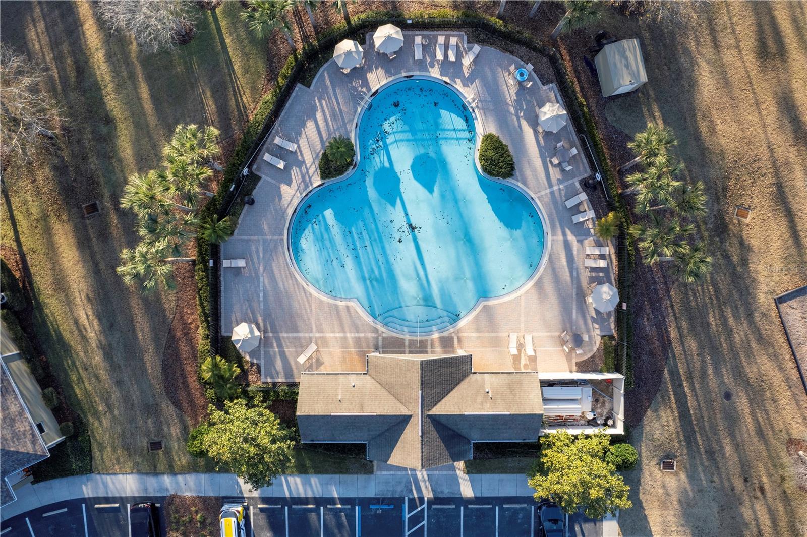 Image 57 of 62 For 12636 White Bluff Road