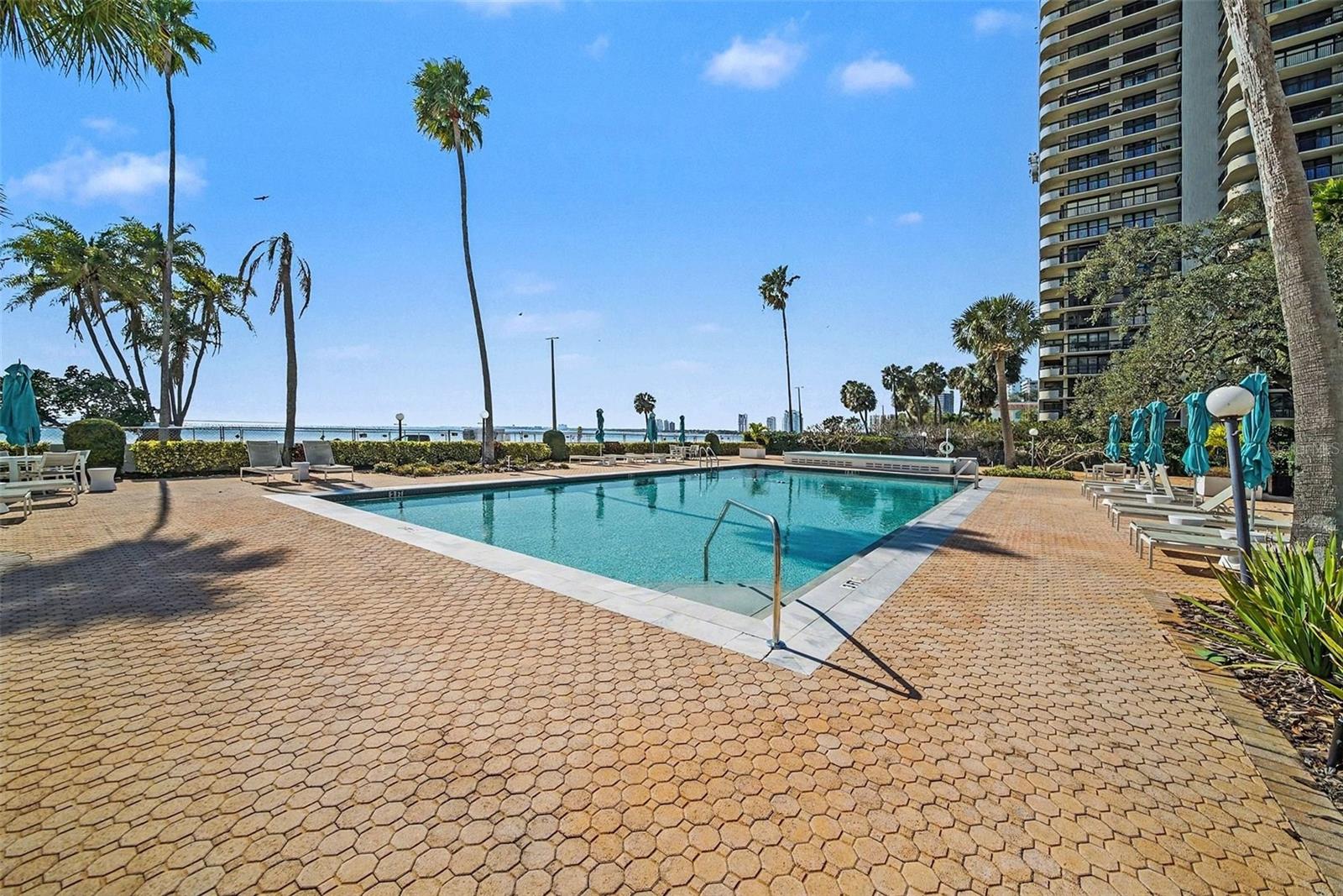 Image 23 of 40 For 2401 Bayshore Boulevard 1007