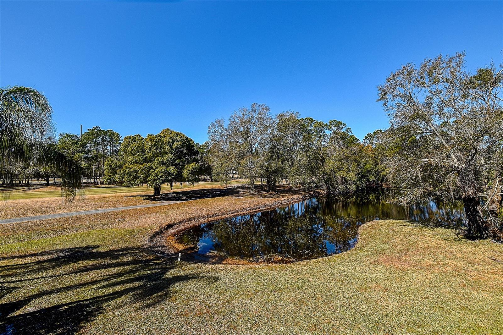 Listing photo id 42 for 15906 Prince William Place