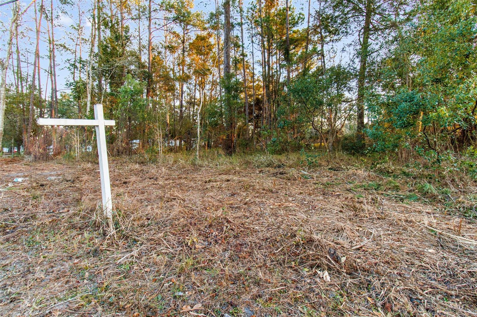 Listing photo id 12 for  Powell Road 