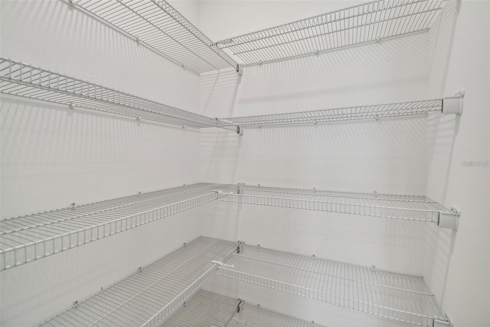 Image 13 of 34 For 9828 Branching Ship Trace Trace