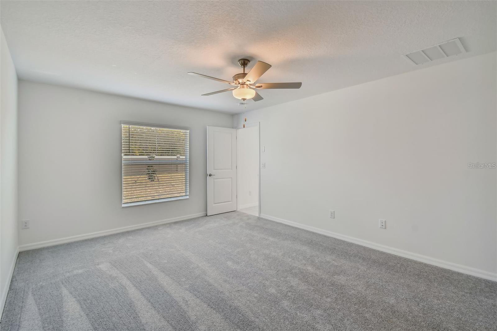 Image 16 of 34 For 9828 Branching Ship Trace Trace