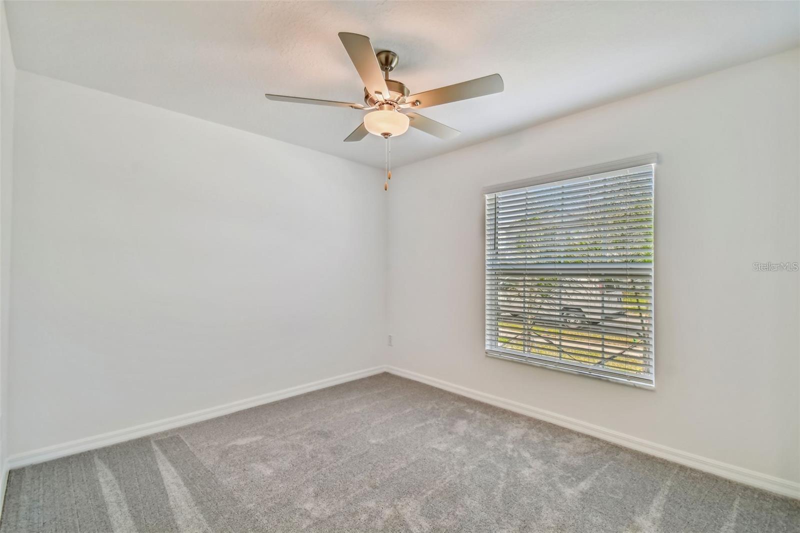 Image 7 of 34 For 9828 Branching Ship Trace Trace