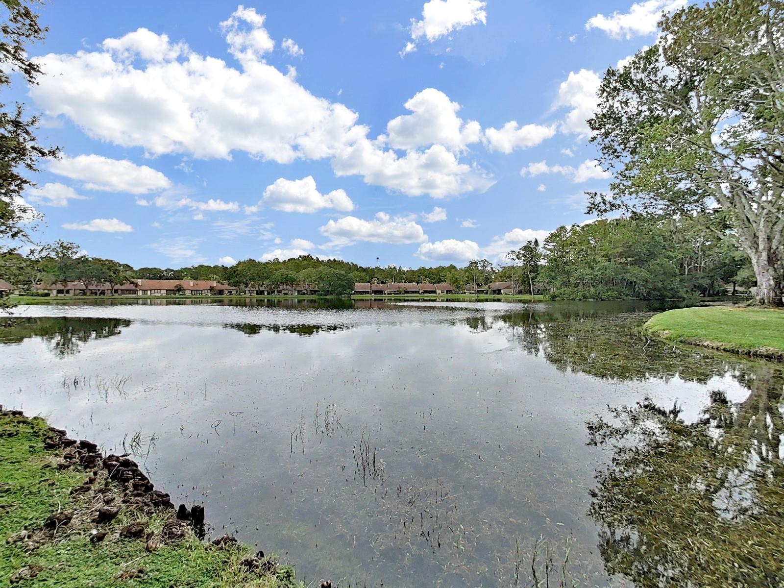 Image 10 of 45 For 3451 Mermoor Drive