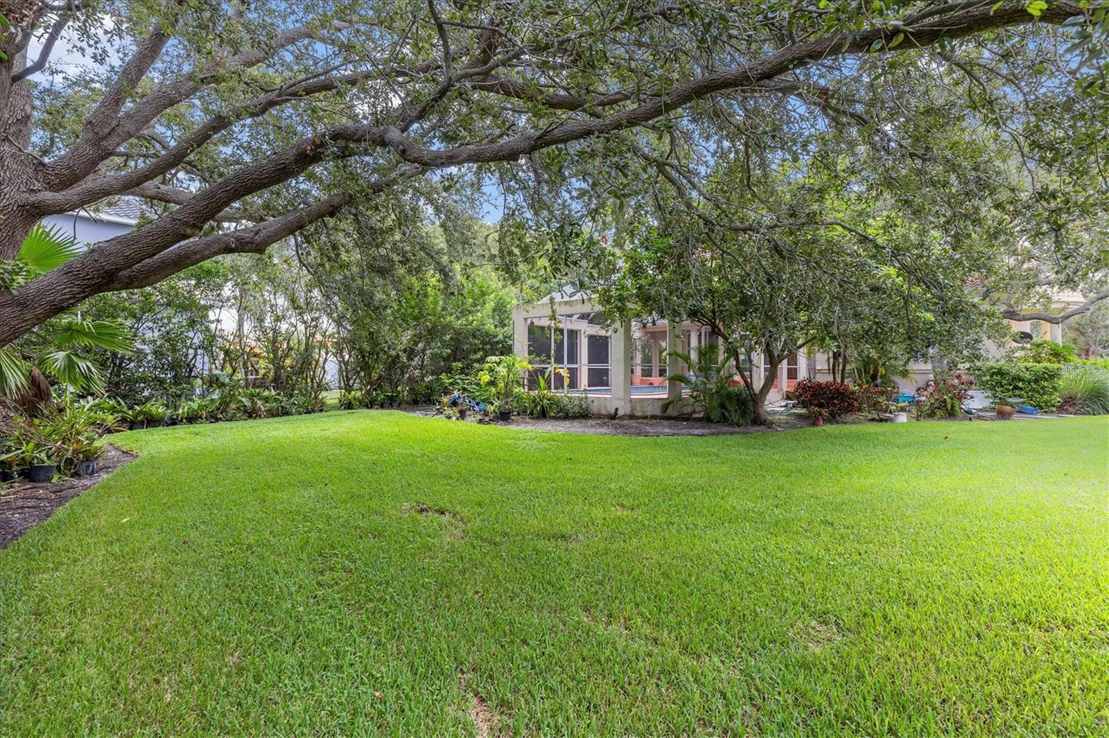 Listing photo id 61 for 5914 La Rosa Lane