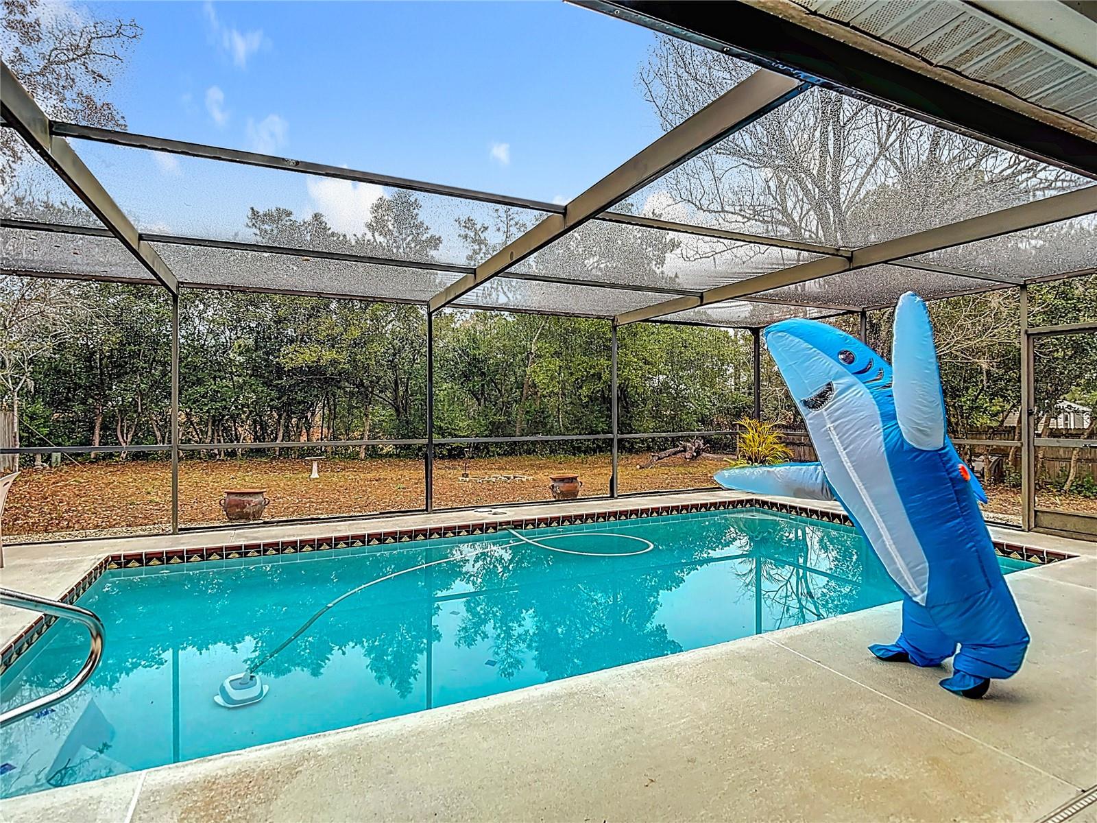 Image 27 of 32 For 12823 Linden Drive