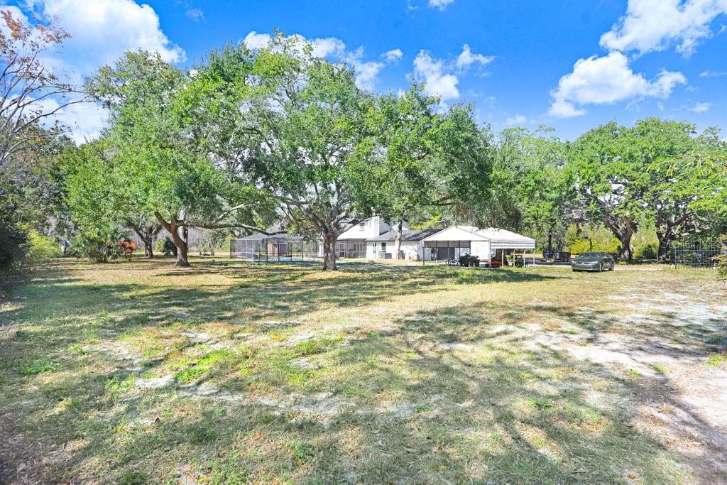 Image 25 of 43 For 17308 Tobacco Road