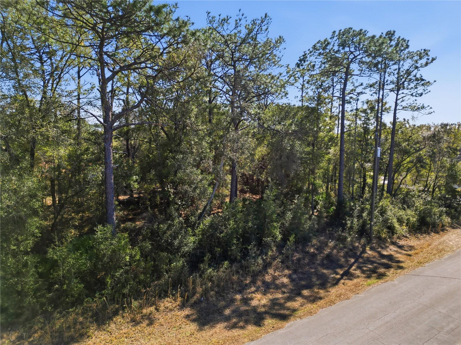 Image 10 of 11 For 2780 Elgin Place