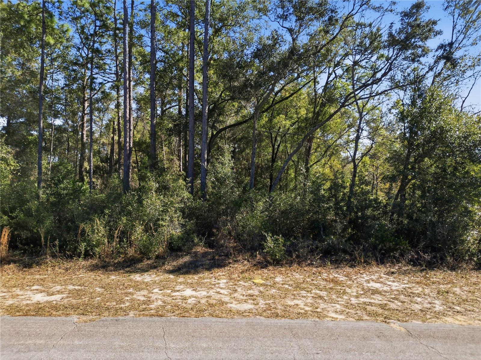 Image 11 of 11 For 2780 Elgin Place