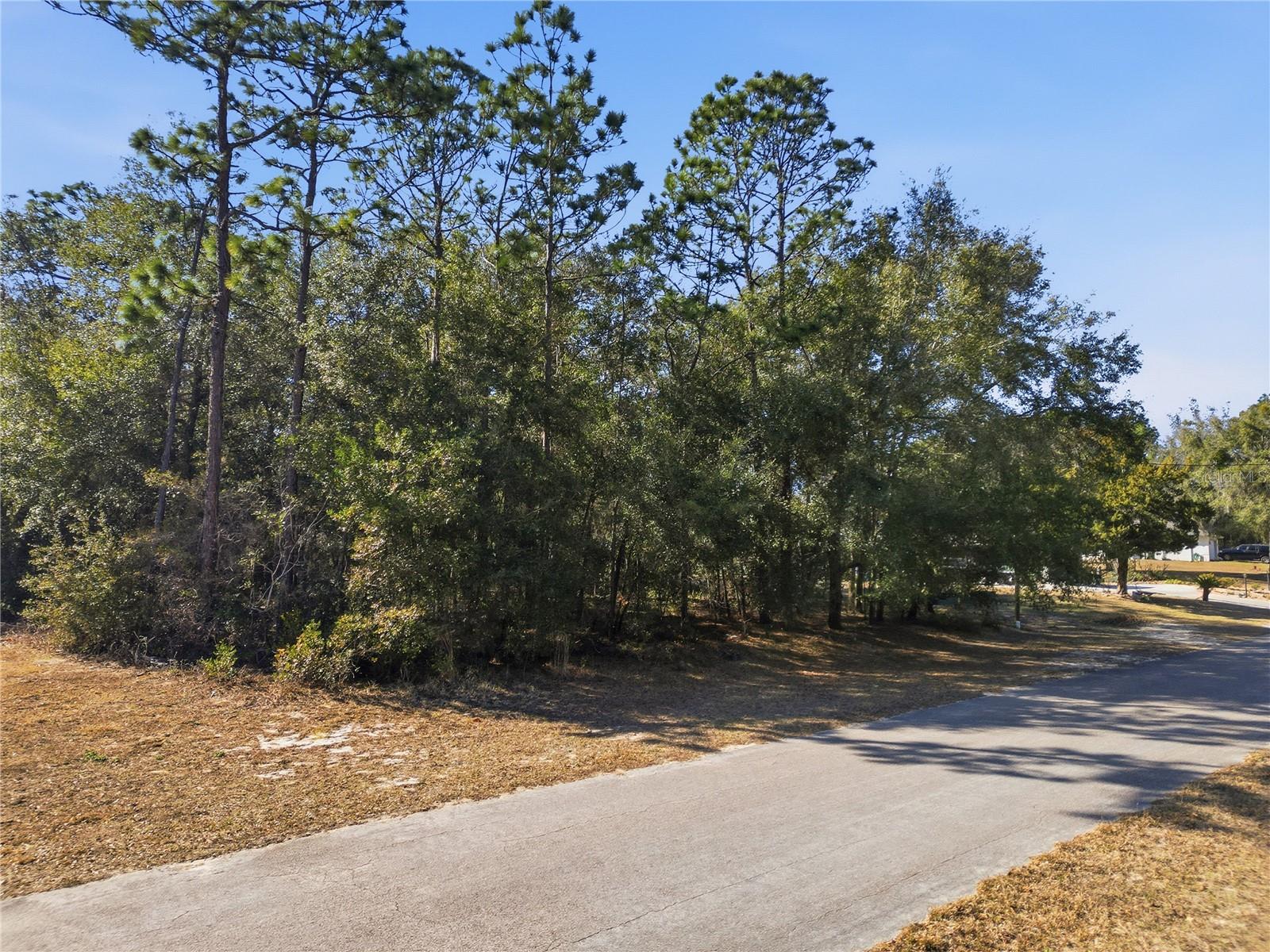 Image 10 of 10 For 8420 Foresome Way