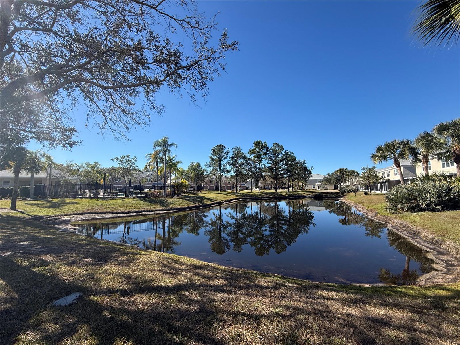 Image 23 of 29 For 26627 Castleview Way