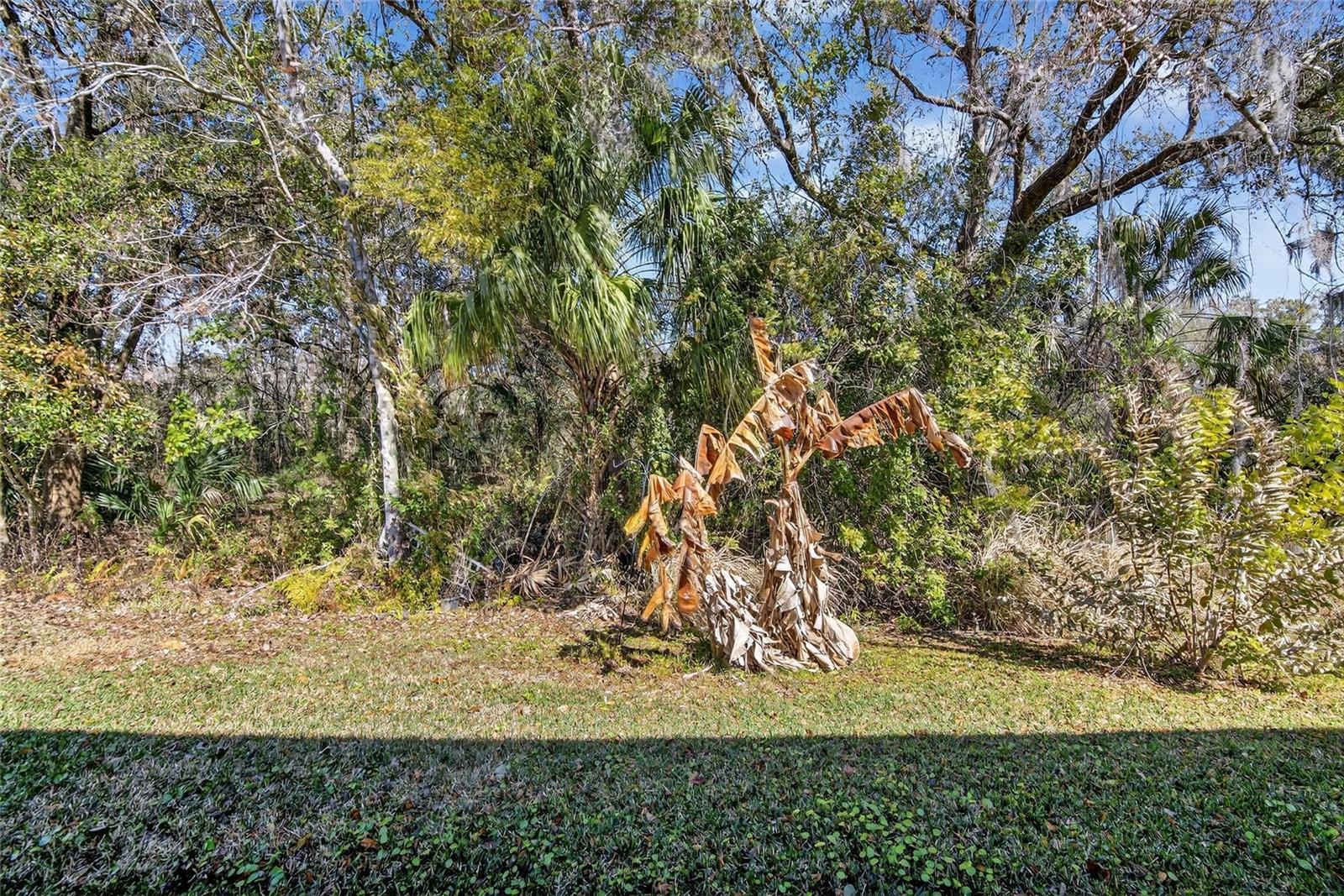 Image 43 of 53 For 2819 Holly Bluff Court