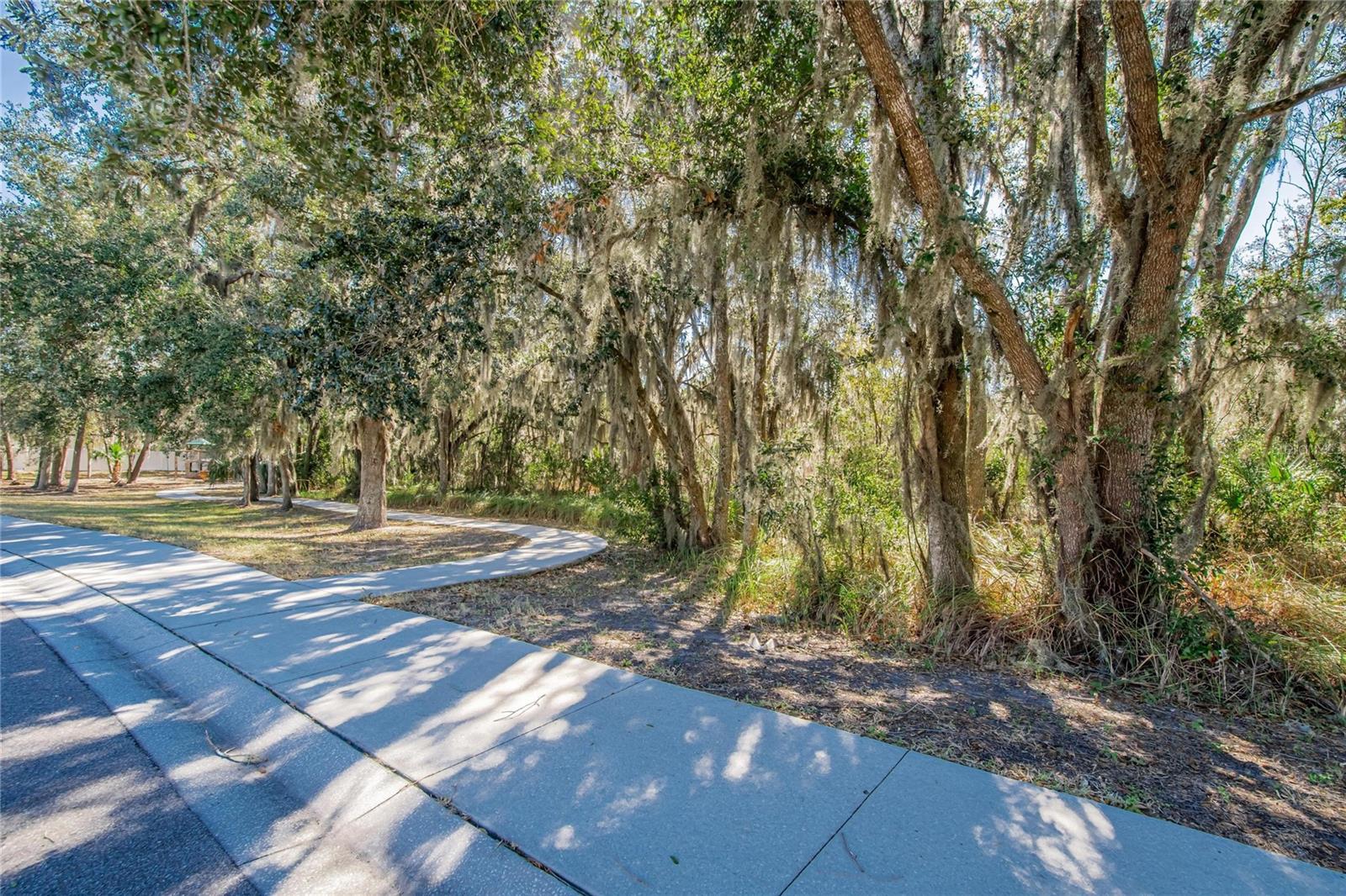 Image 45 of 53 For 2819 Holly Bluff Court