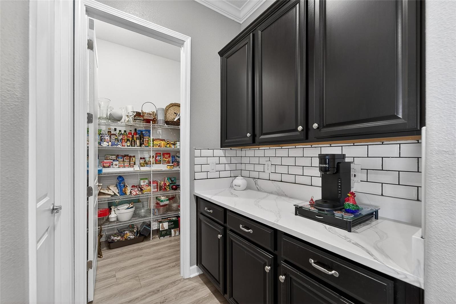 Image 62 of 98 For 16810 Scuba Crest Street