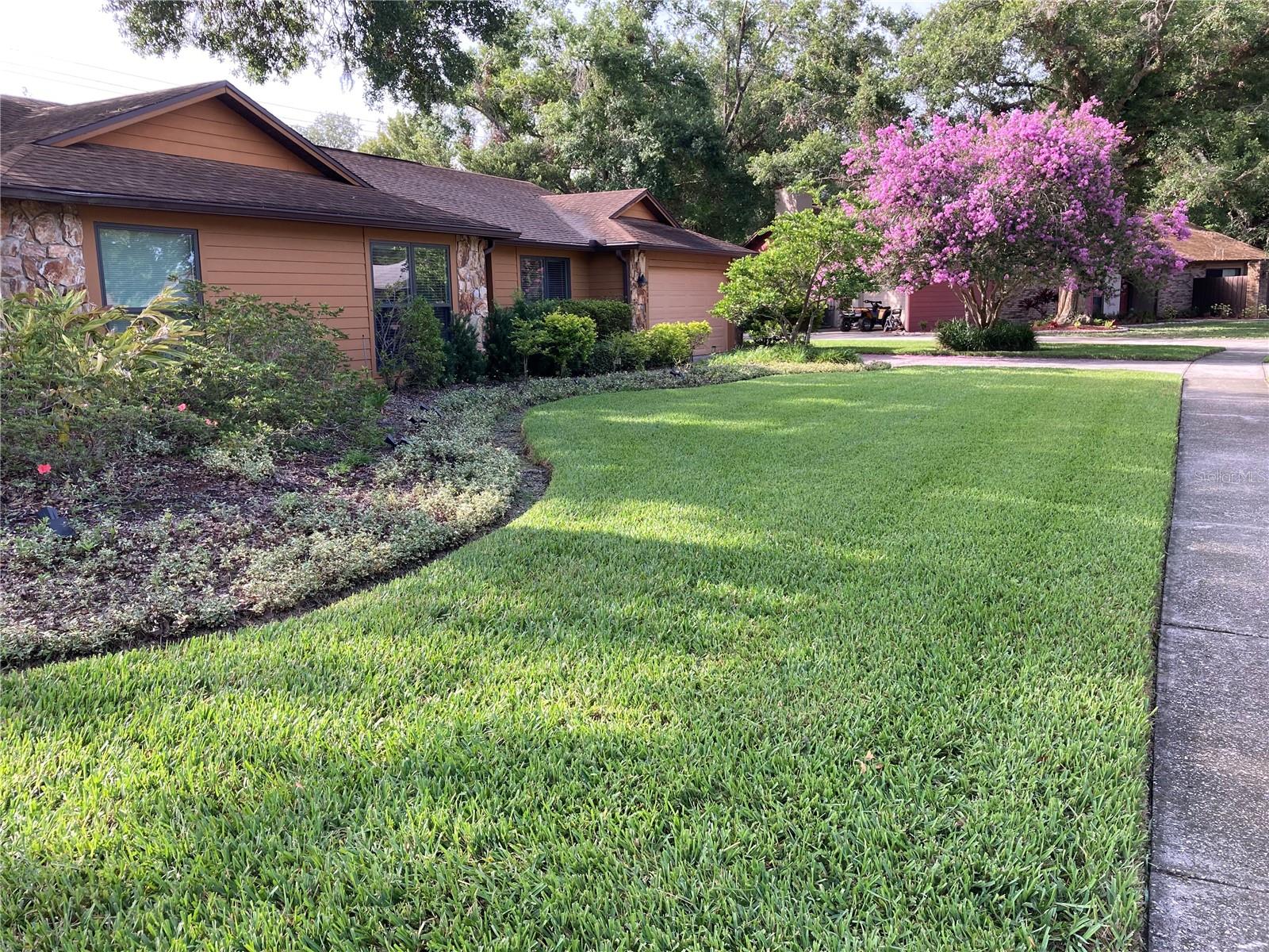 Details for 6709 Peachtree Drive, TEMPLE TERRACE, FL 33617