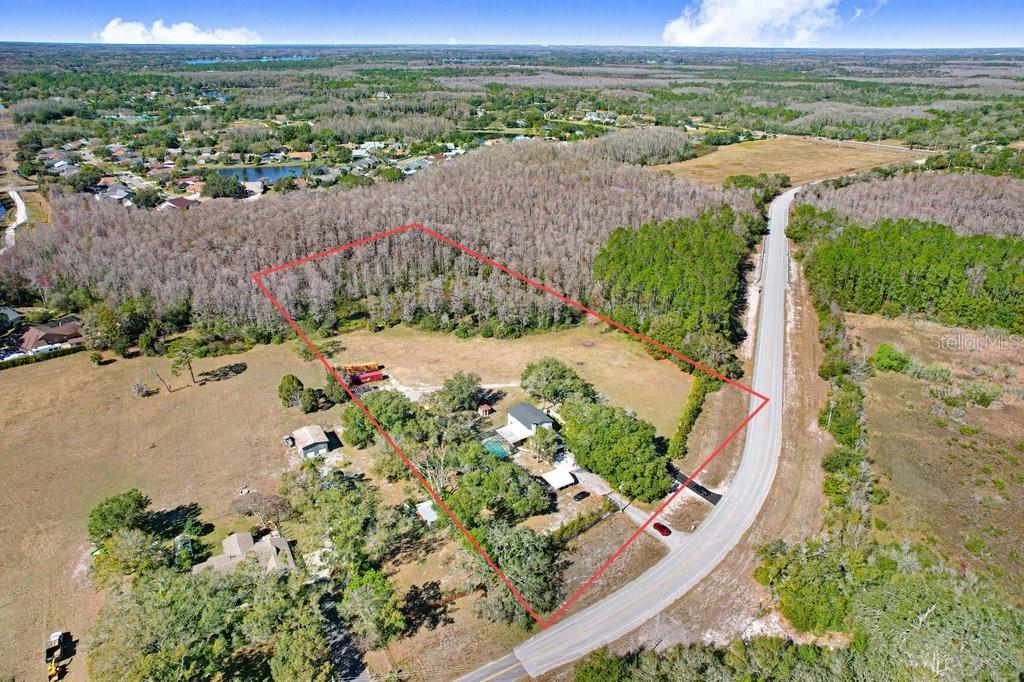 Details for  1st  , LUTZ, FL 33558