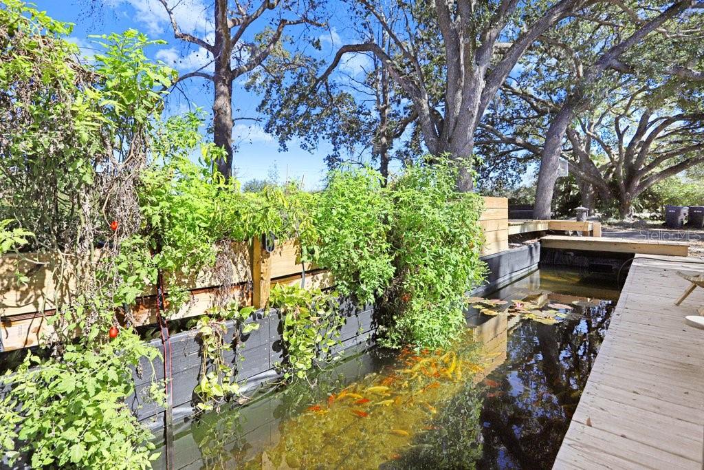 Image 19 of 43 For 1st