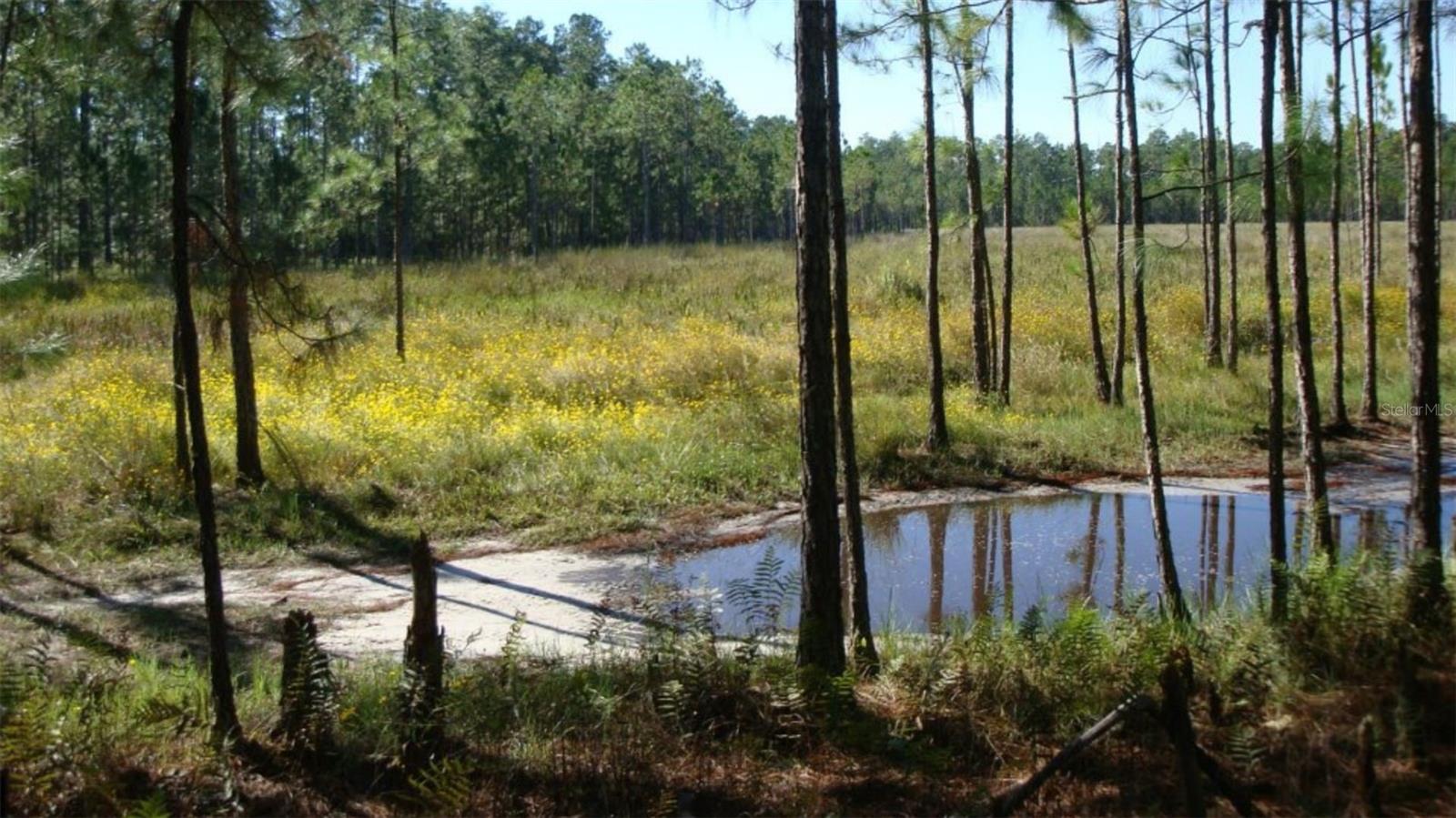 Image 9 of 17 For Hwy 630 E 