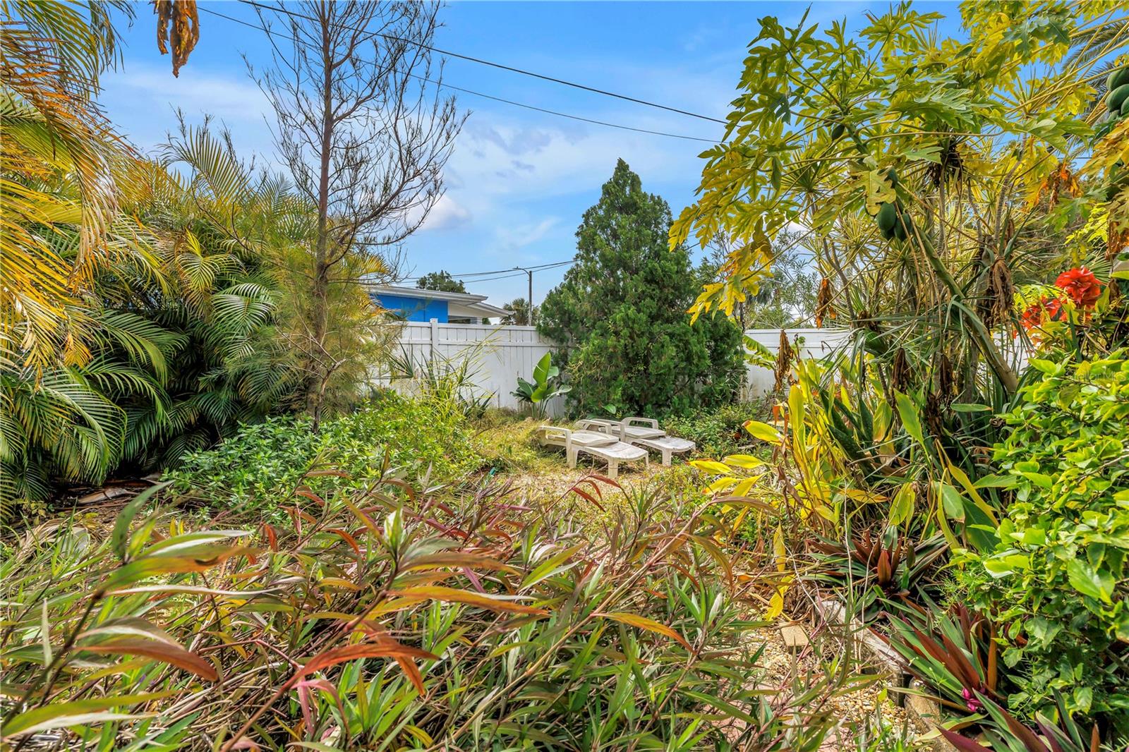 Image 22 of 30 For 8175 Gulf Boulevard