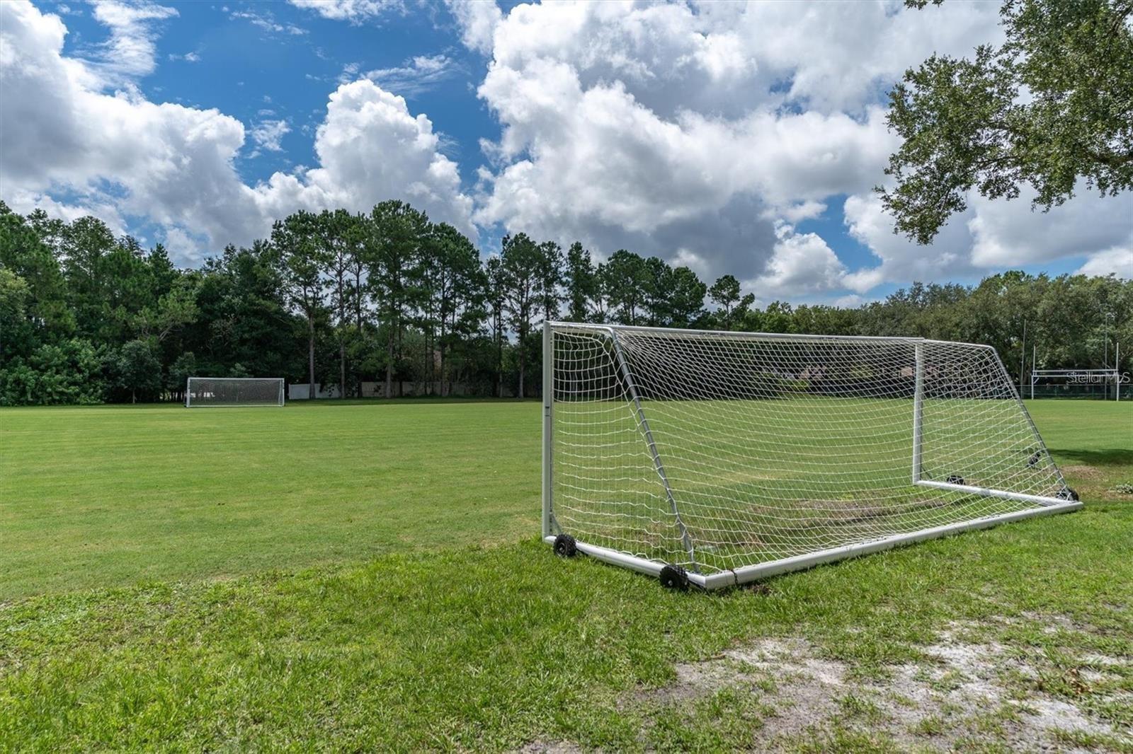 Image 52 of 54 For 4324 Auston Way