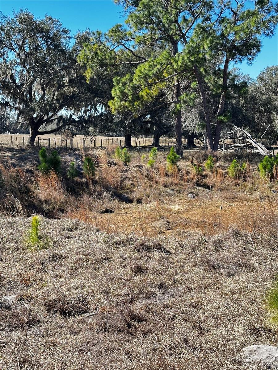 Image 5 of 6 For  Cr 707 Road 