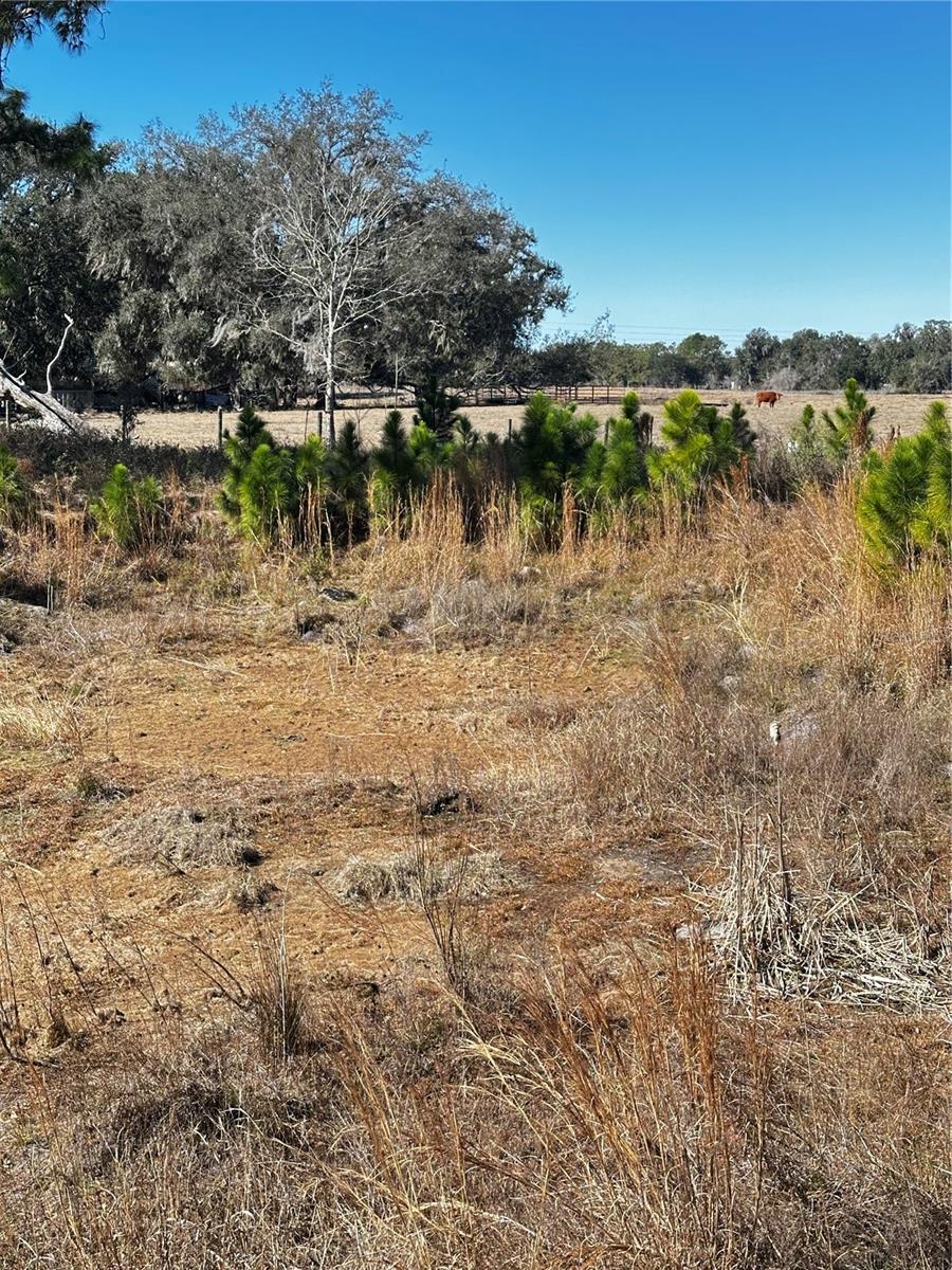 Image 6 of 6 For  Cr 707 Road 