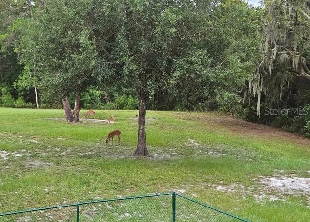 Image 64 of 66 For 9802 Royal Palm Avenue