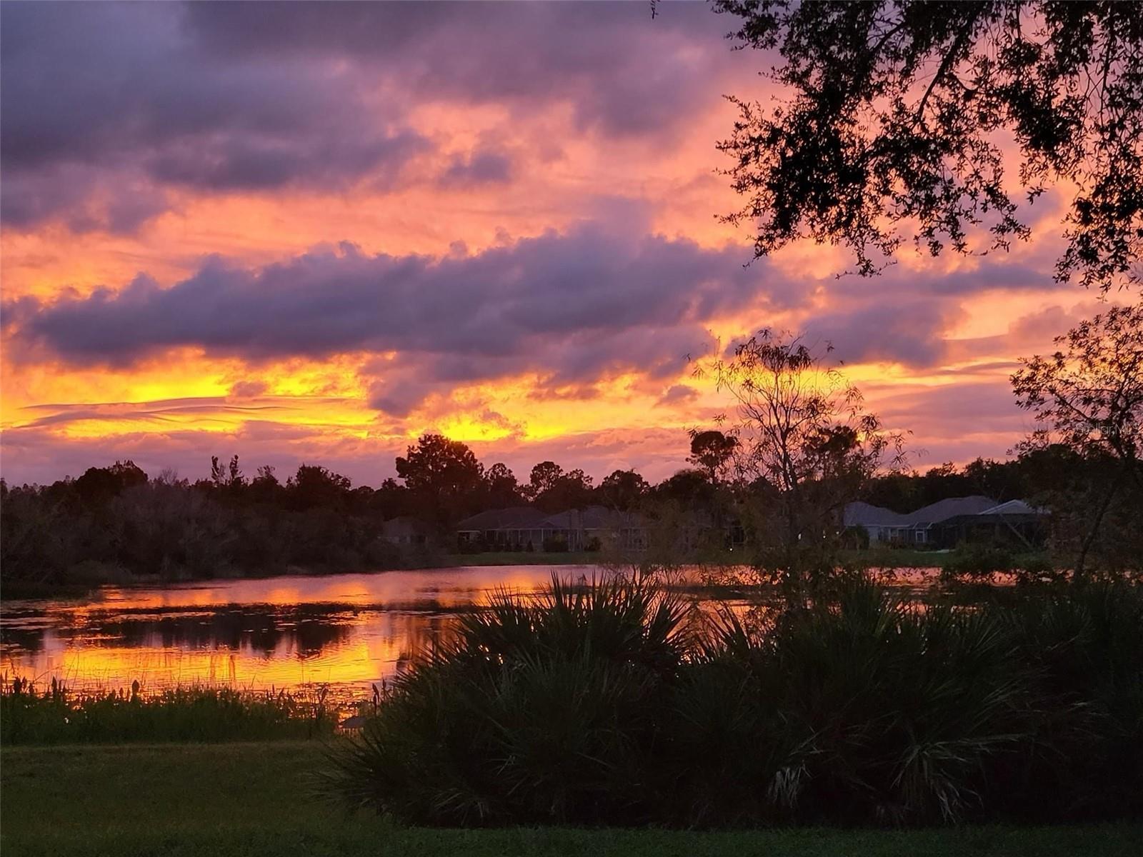 Image 34 of 57 For 18048 Arbor Crest Drive