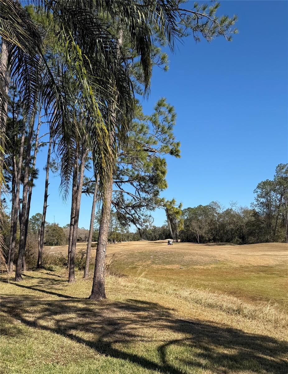 Image 28 of 59 For 5600 Sparrow Hawk Court