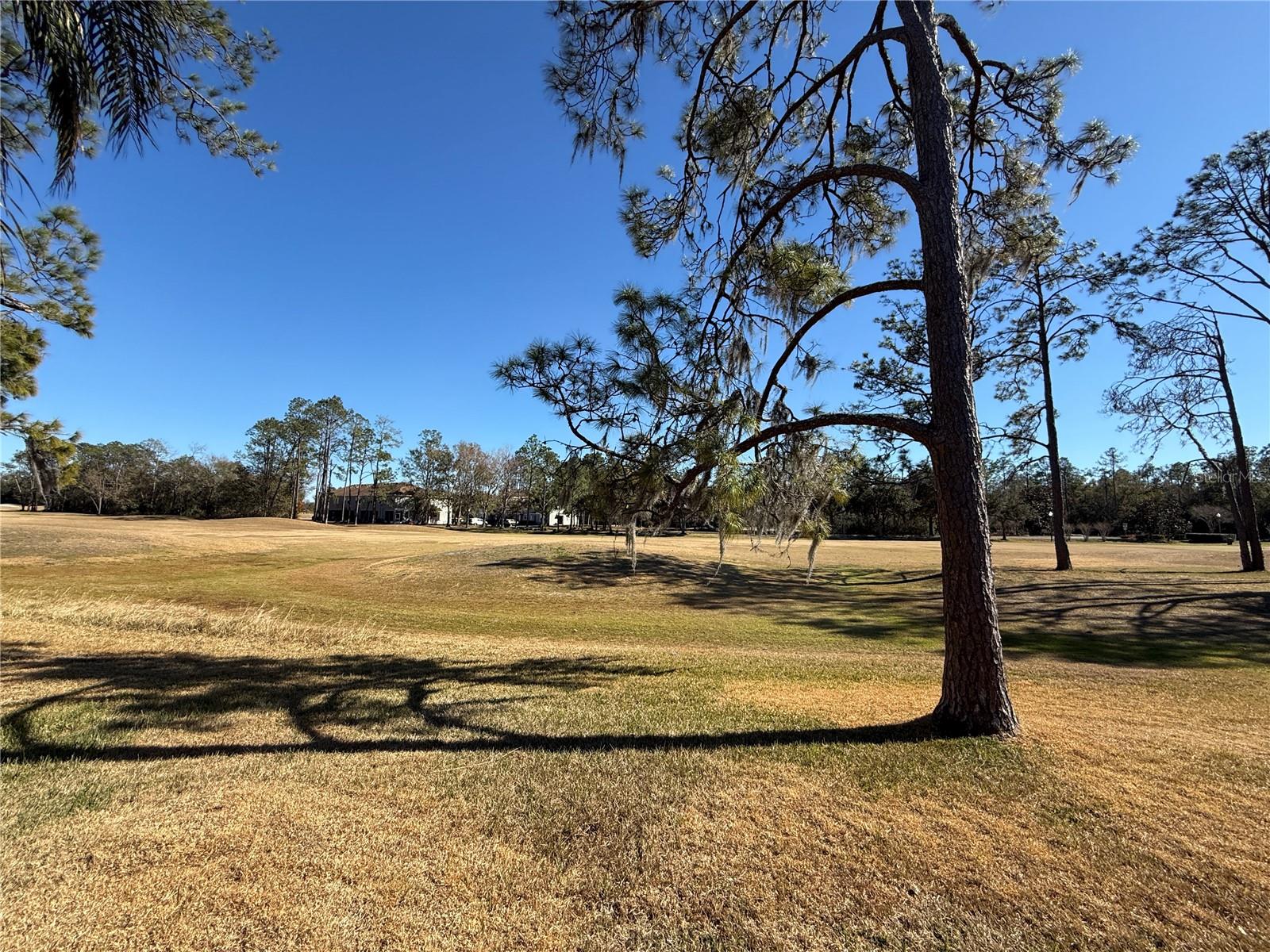 Image 29 of 59 For 5600 Sparrow Hawk Court