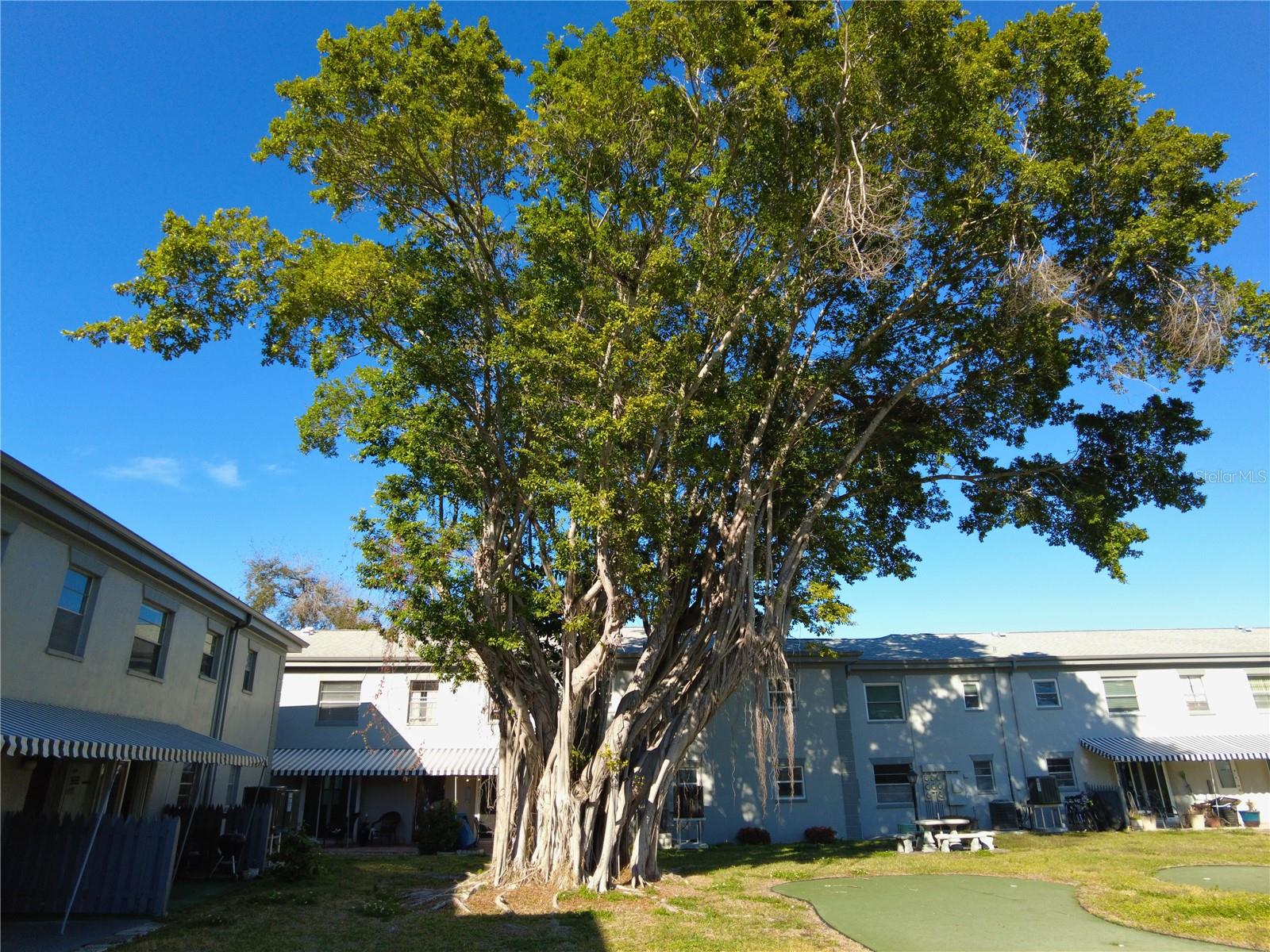 Image 3 of 19 For 6930a Place De La Paix  2b