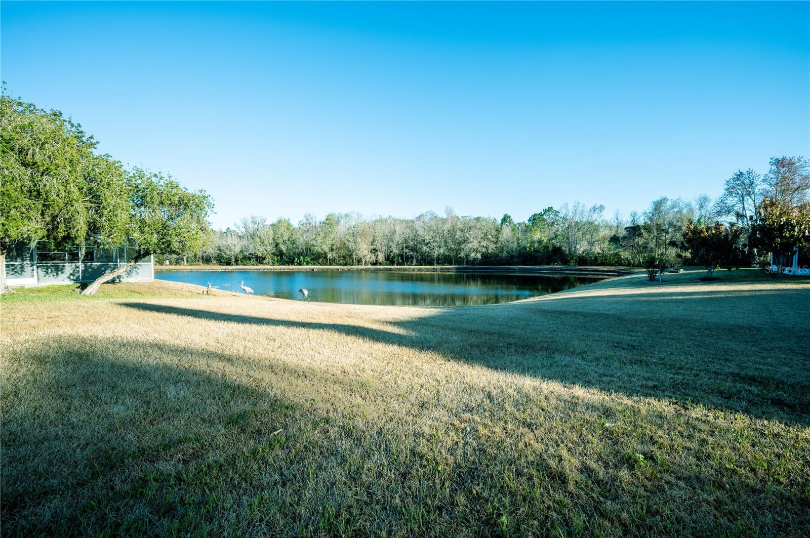 Listing photo id 23 for 27350 New Smyrna Drive