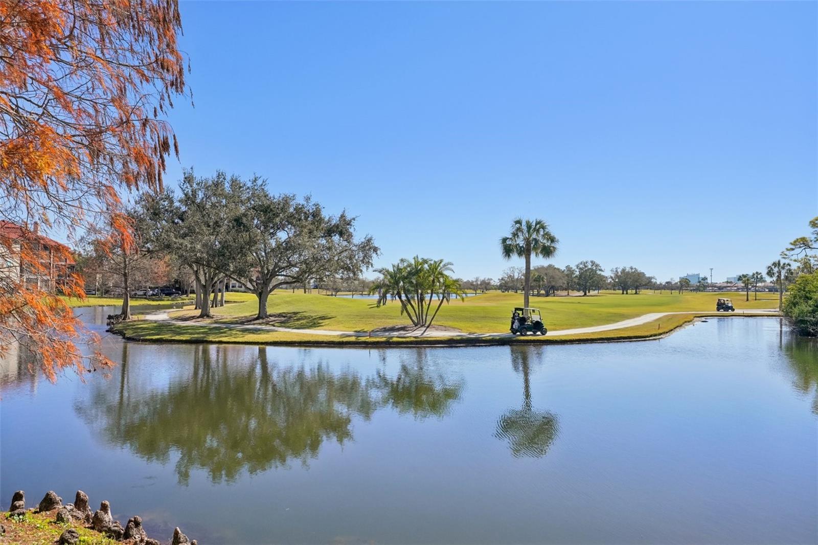 Image 54 of 68 For 2400 Feather Sound Drive 415