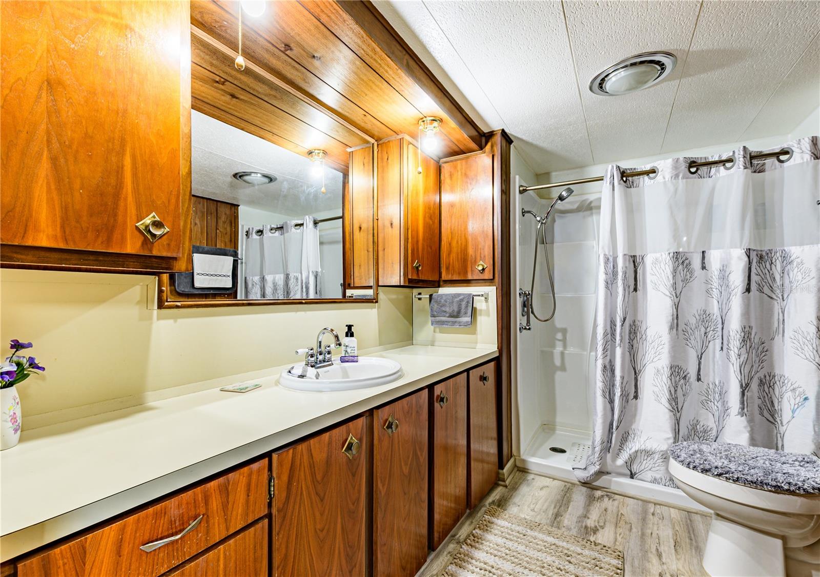 Image 30 of 71 For 36946 Grace Avenue