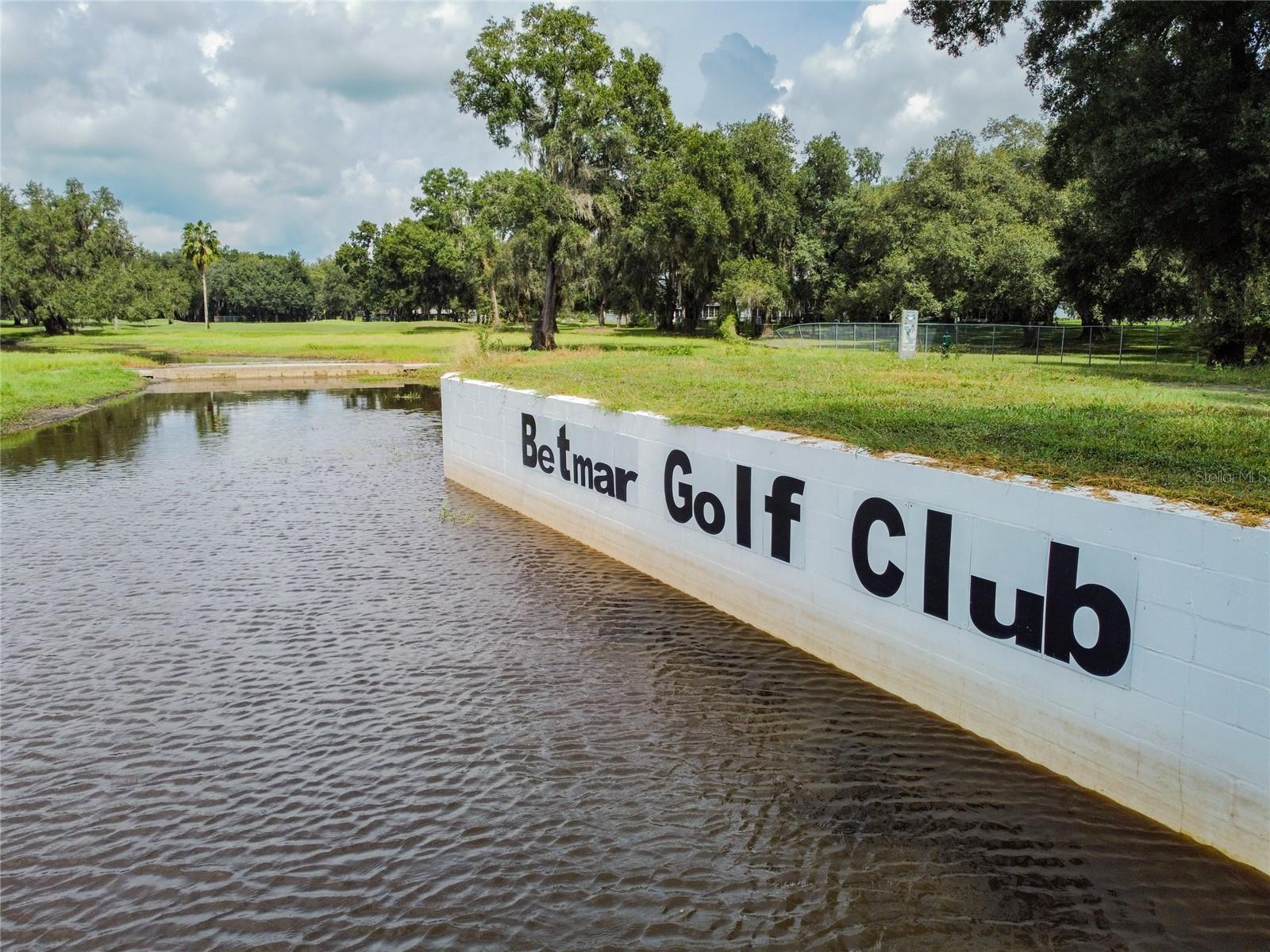 Image 62 of 71 For 36946 Grace Avenue