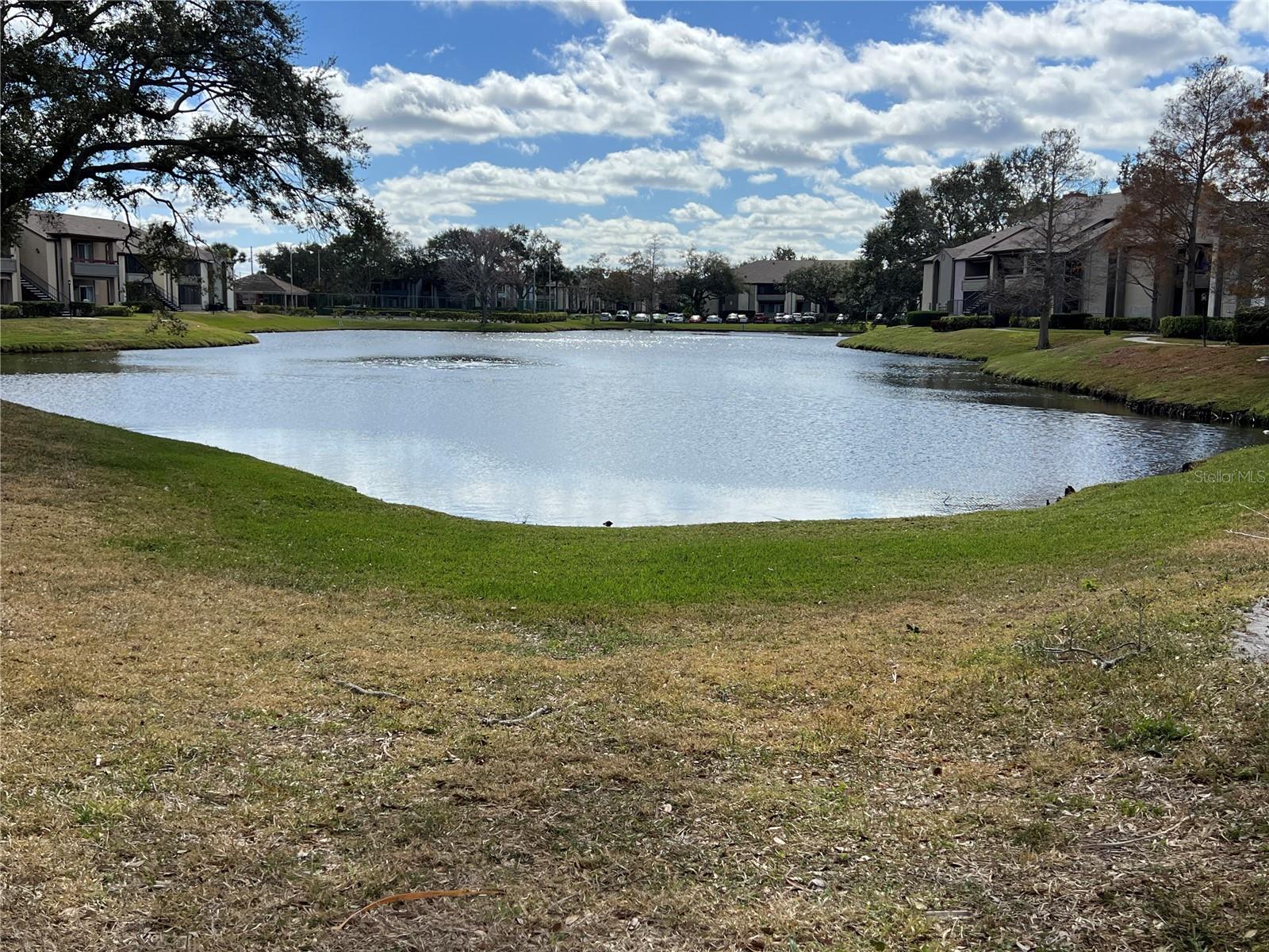 Image 4 of 22 For 10265 Gandy Boulevard N 1709