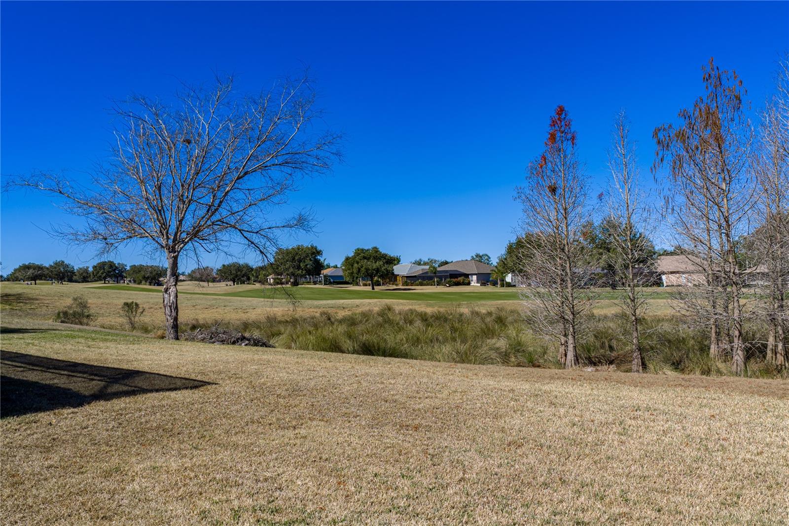 Listing photo id 50 for 13231 Palmilla Circle