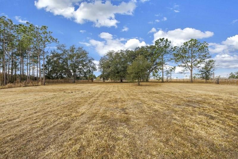 Listing photo id 12 for 8521 Ehren Cutoff