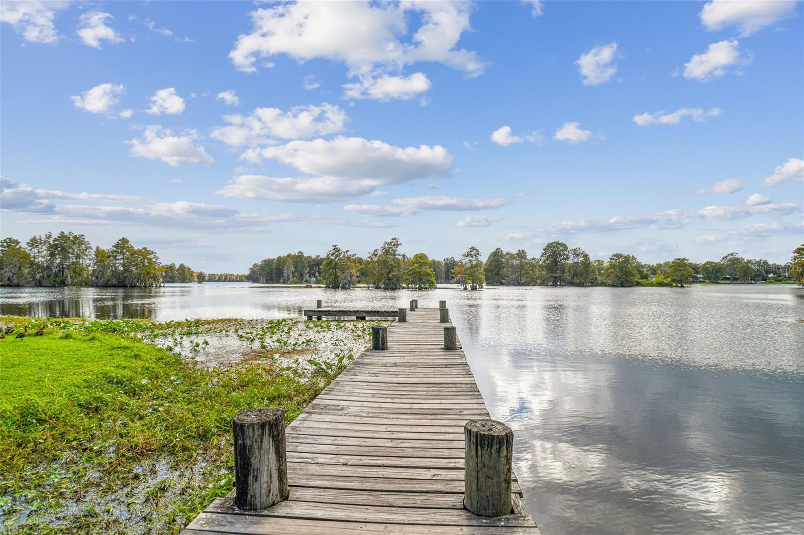 Image 36 of 37 For 308 Brentwood Drive 33617