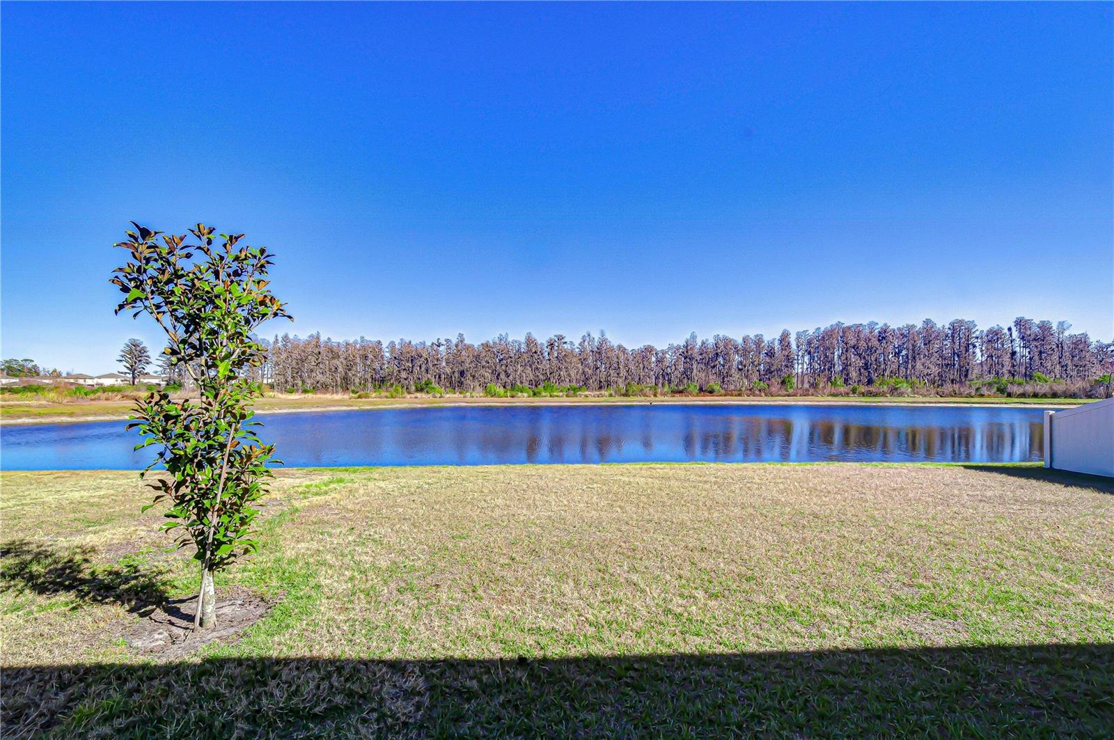 Image 46 of 62 For 10422 Gliding Eagle Way