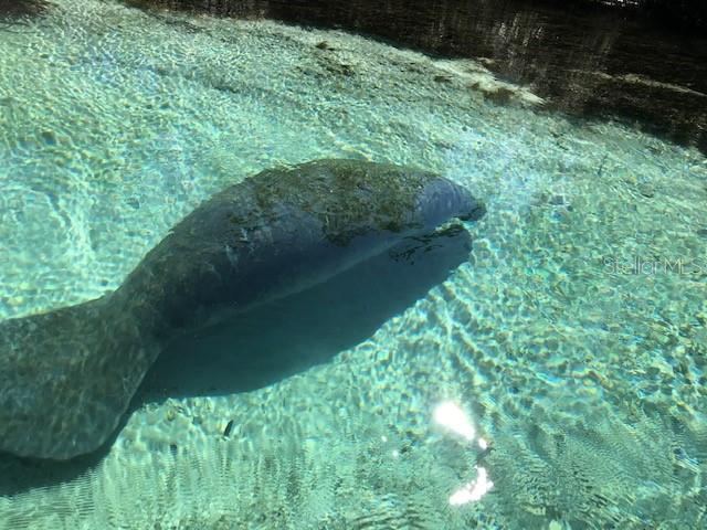 Image 11 of 19 For 6394 Richard Drive