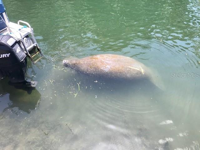 Image 13 of 19 For 6394 Richard Drive