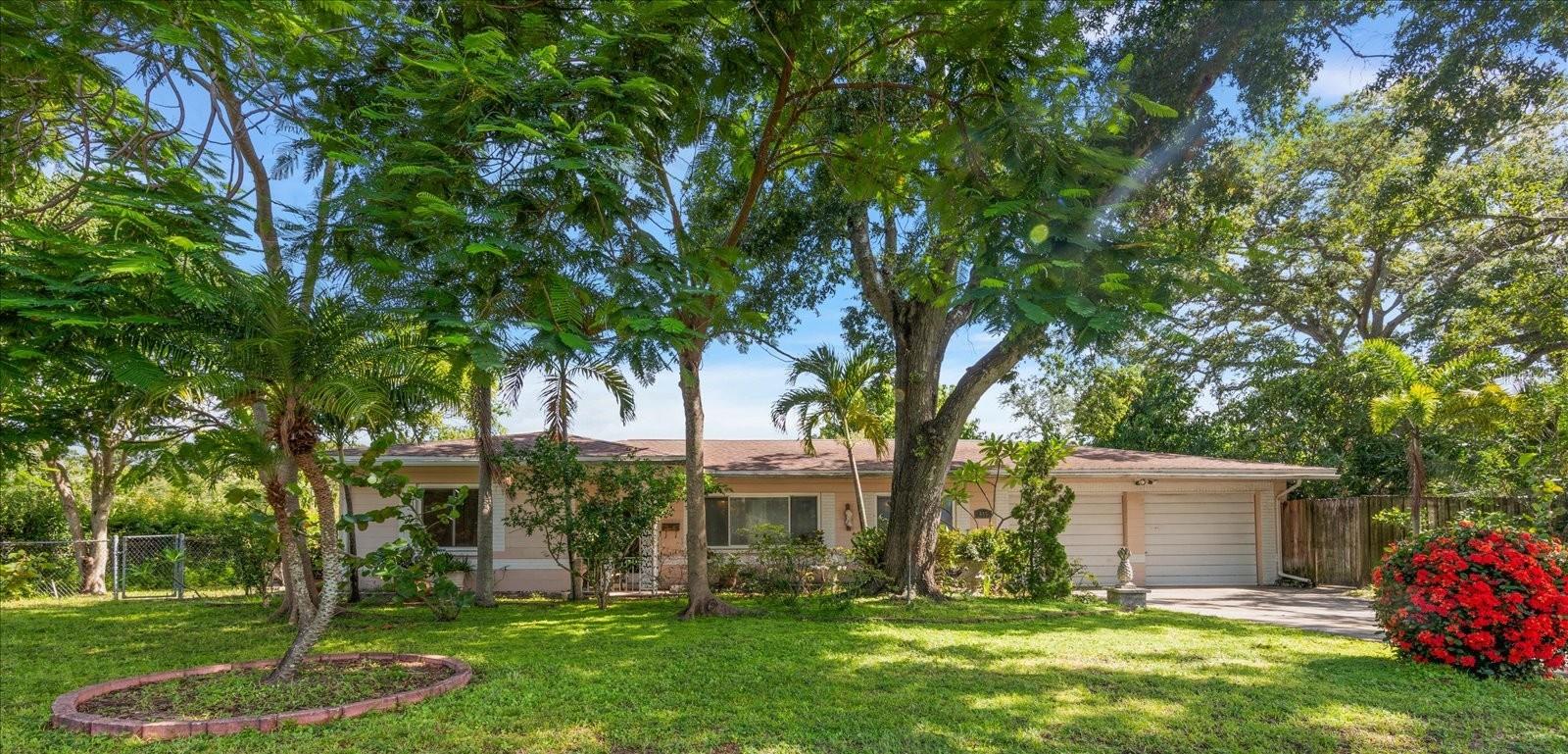 Listing photo id 3 for 655 42nd Avenue N