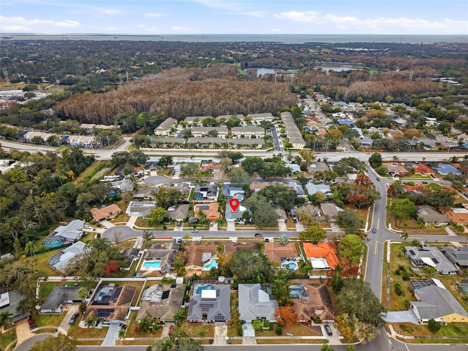 Image 41 of 48 For 3442 Glossy Ibis Court