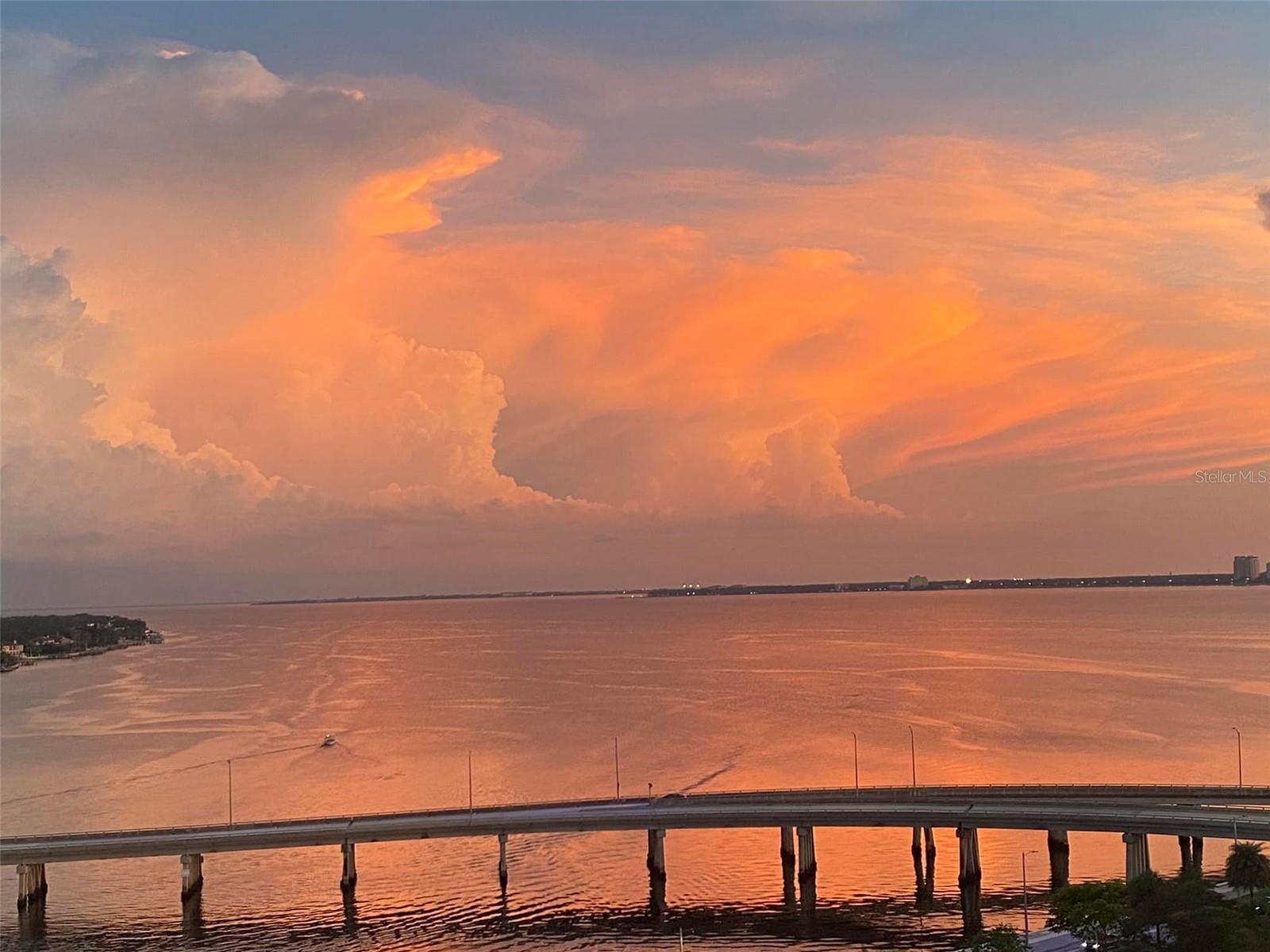 Image 4 of 26 For 345 Bayshore Boulevard 1203