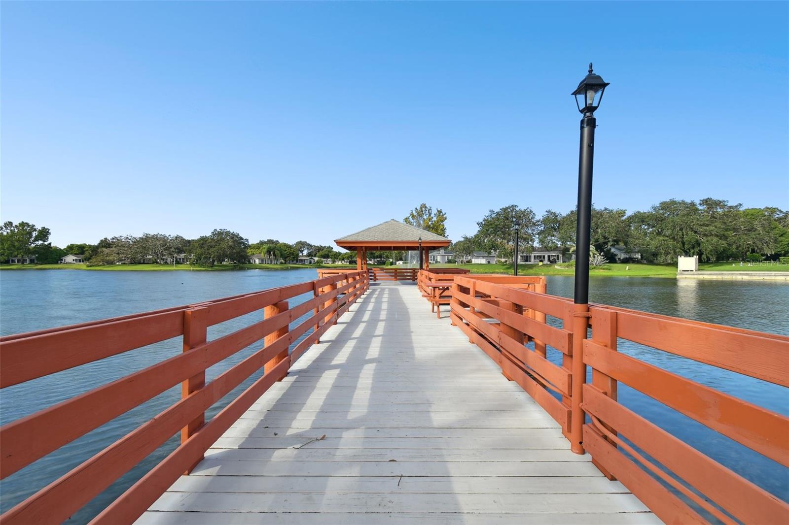 Image 54 of 76 For 11317 Versailles Lane 5