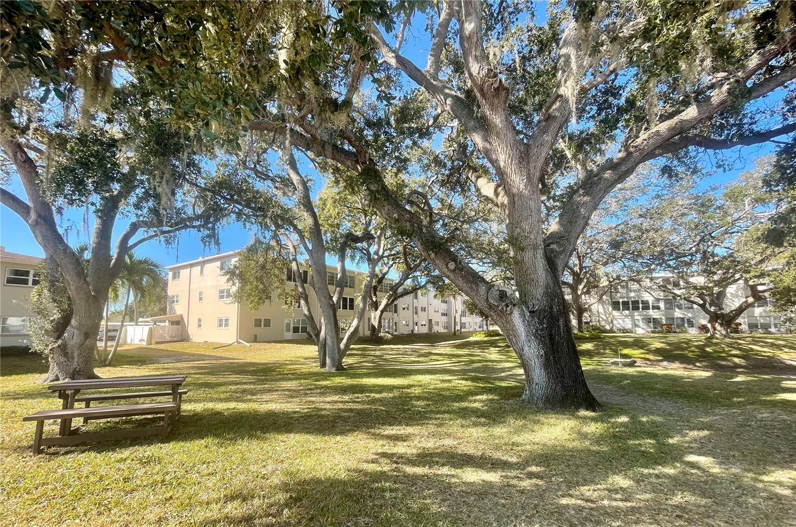 Image 15 of 25 For 920 Virginia Street 303