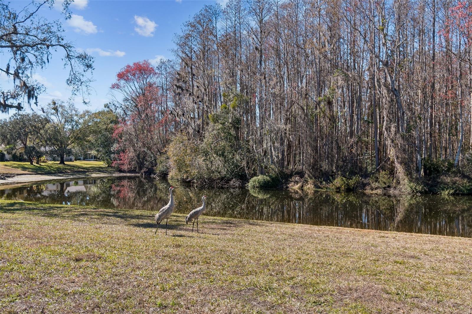 Image 23 of 46 For 11719 Alderwood Drive