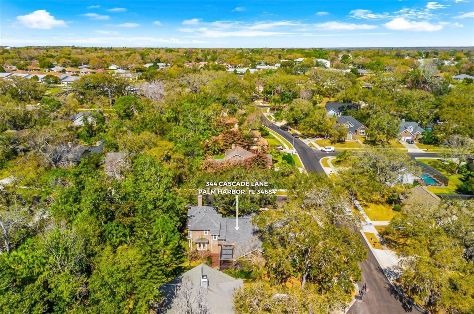 Listing photo id 61 for 344 Cascade Lane